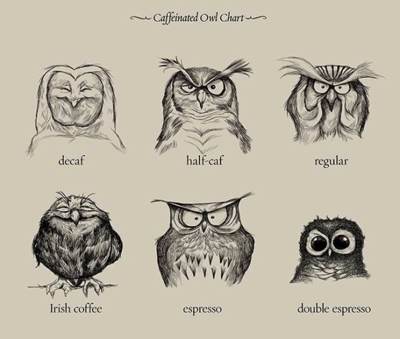 even-i-as-a-non-coffee-drinker-find-this-funny-the-world-of-coffee-explained-by-owls